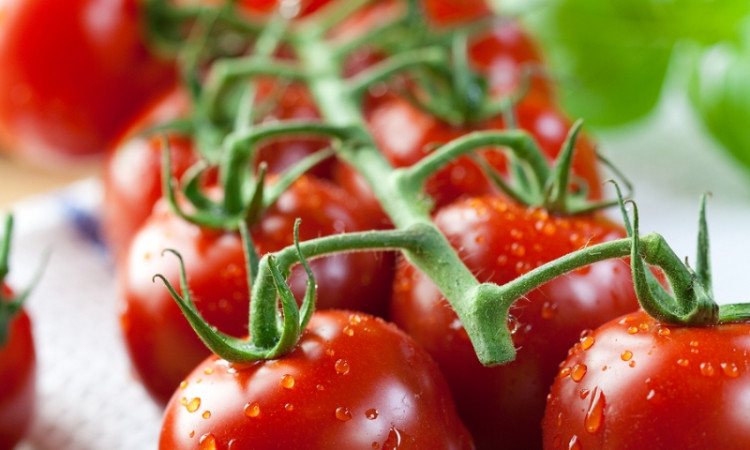 Tack för tomaten