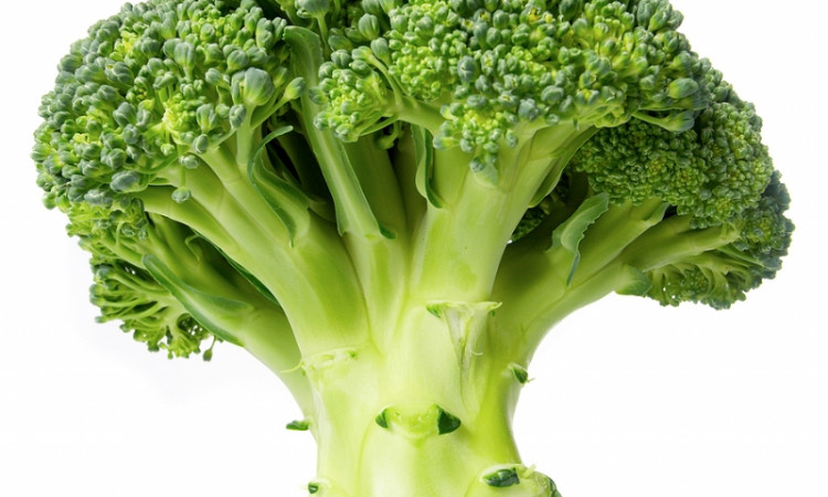 Veckans livsmedel - Broccoli