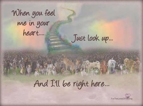 0792b96e-1cee-4c75-bc5f-efaed53f46a9.png