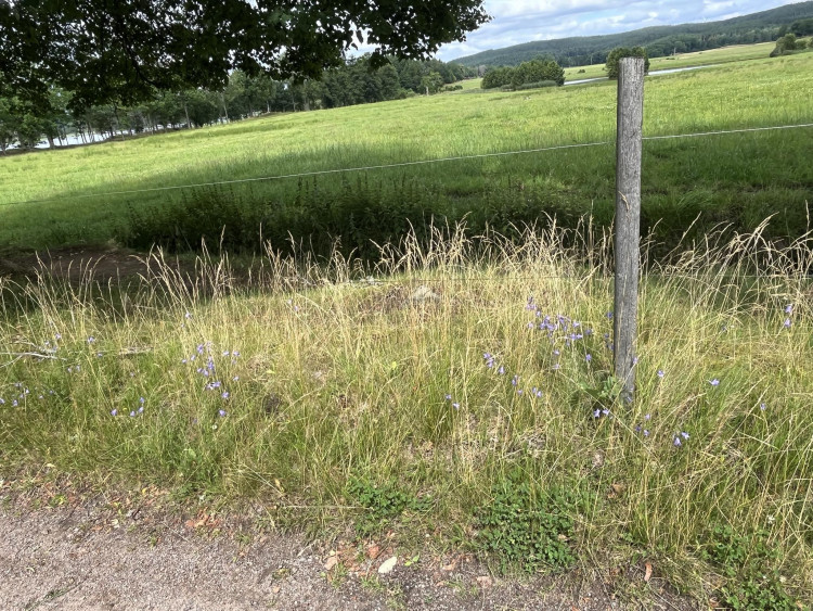 0aa523db-e218-4634-9f5f-8a11b8084820.jpeg