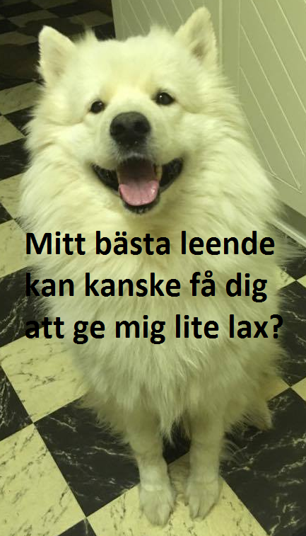 1238a5d1-4751-4d23-a0ee-df69ec0dd8b2.png