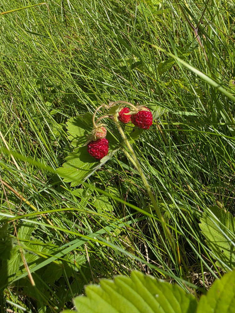 145807c0-cf62-4b50-b4e1-1840c6eedf23.jpg