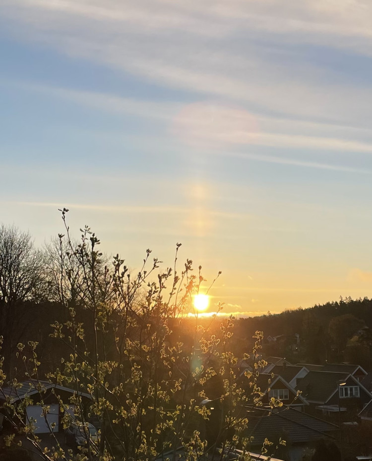 165be27f-012e-4819-83b6-10d6a3ff8881.jpeg