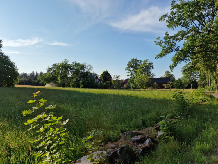 1b170b4e-3d63-498f-a9a7-0e13fe80bdc5.jpg