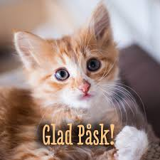 1c93f814-5c87-4b2f-bd18-d340cf05593c.png