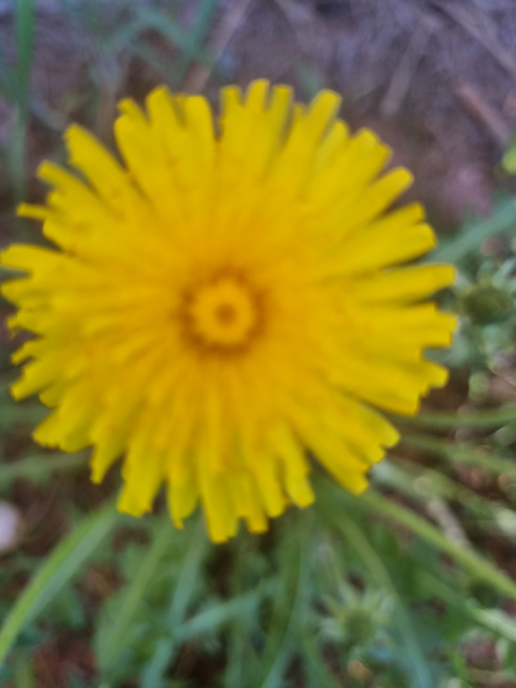 1d48e6e9-4d69-4d2b-84b5-0b9e891c440f.jpg