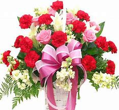 1f6c72bc-a836-4d58-800a-6e158f54cade.jpg
