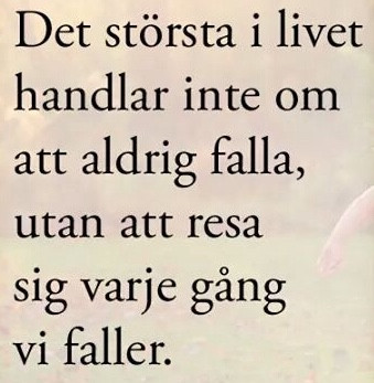 2c0c09cc-6553-4440-a3cd-52a2304be342.jpg