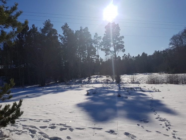 34e40cf4-c795-49c4-a42d-9ed170ed540d.jpg