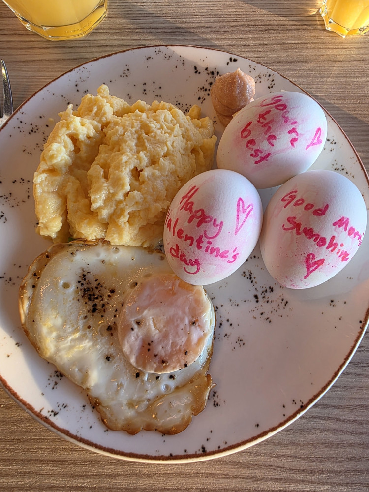 3e8e0047-9ad8-4175-a7fc-ae16d18eed94.jpg