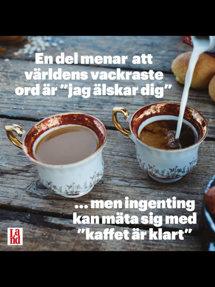 4e26ff2f-f638-46a1-93b5-ecd3b980d1ad.jpeg