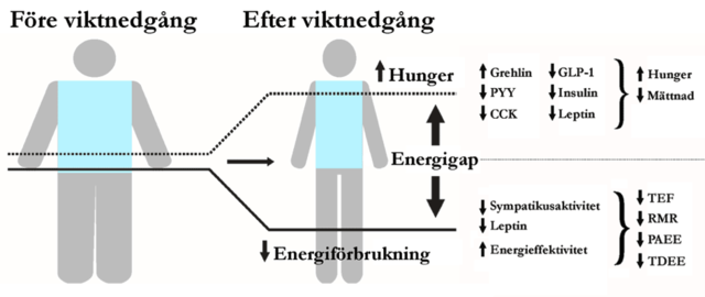 5236d784-eb5c-4cb8-a10f-cbaeb4d5c1b8.png