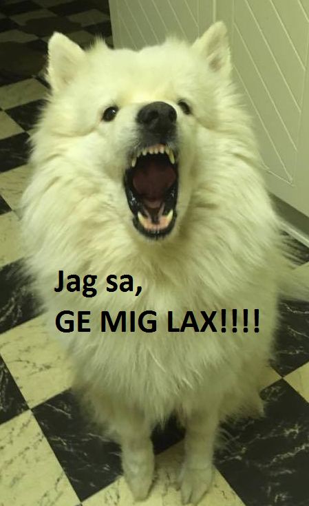 537ba8c2-1a1c-4d2c-a45d-5339528c03e5.png