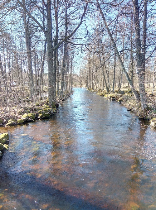 57ae0e04-318f-4de2-9448-f1c2b88cf174.jpg