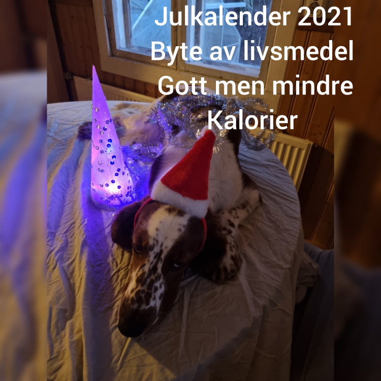 5e555a8d-864f-44ce-a7d2-7d7765289c9e.jpg