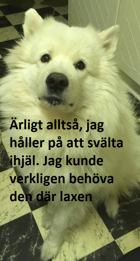 6a6d80b7-6ce7-451d-b3b6-4850c0628d79.png