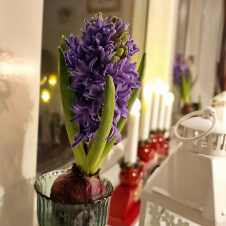 6f35f76d-0771-46c3-a785-f4ae990e5ee2.jpg