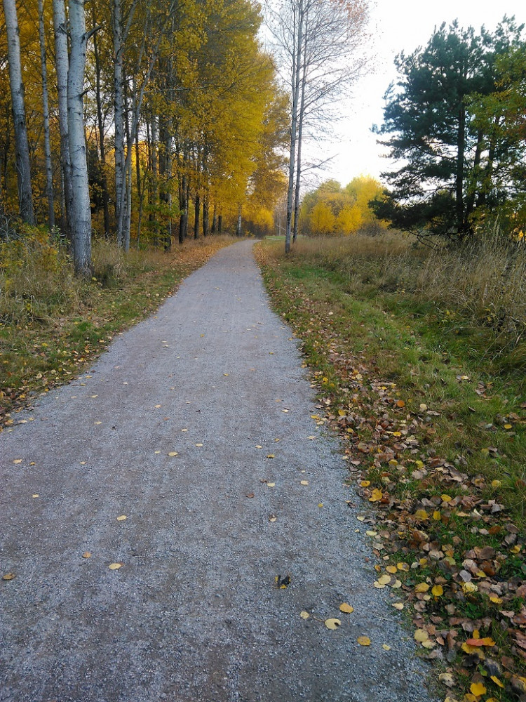 74a3d541-4786-4d65-986f-819462088087.jpg
