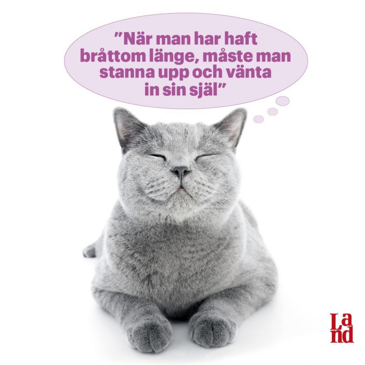 765af1a1-664a-41c2-a796-7f36dbb2a3d9.jpg
