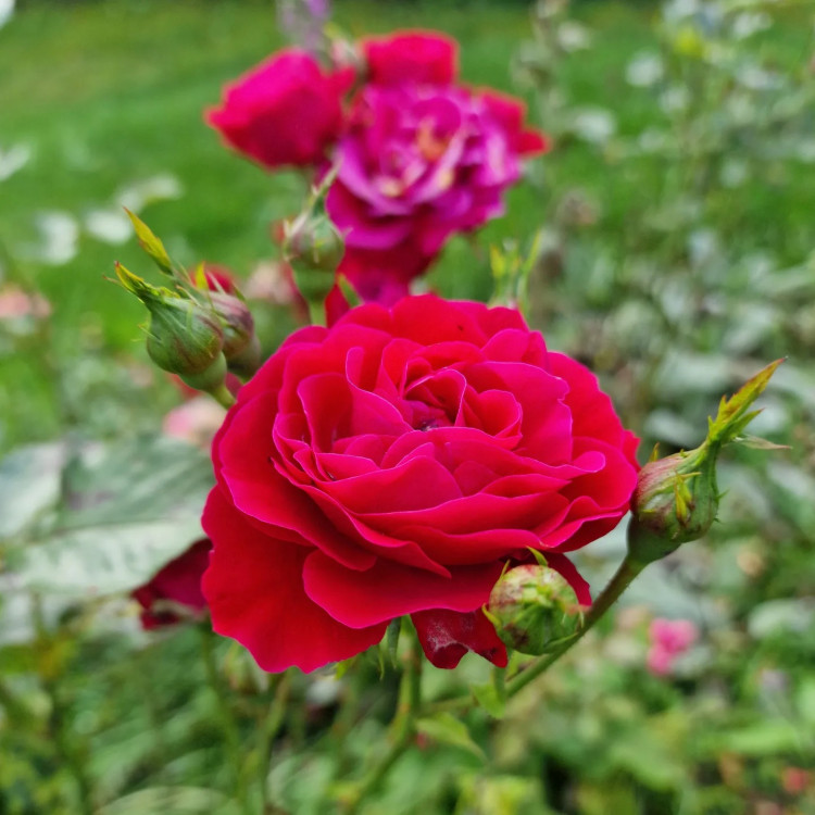 78168ce8-04d4-42cb-863a-68eb13c62156.jpg