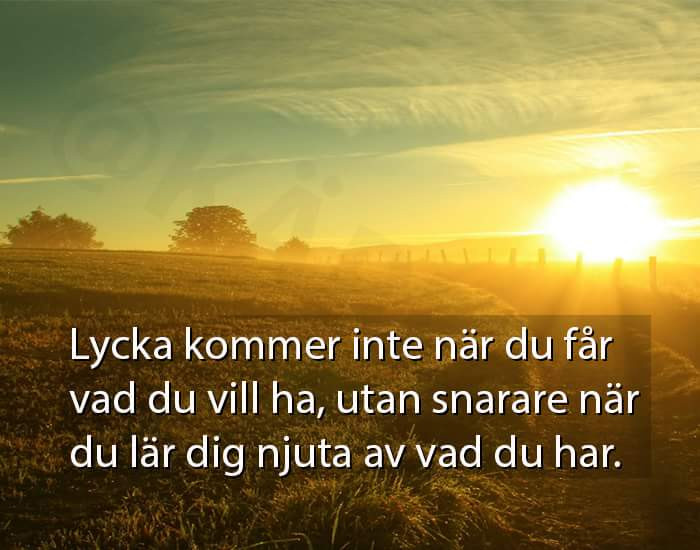 854b7f24-3b7c-4b51-914a-ddaa0b0dd297.jpe