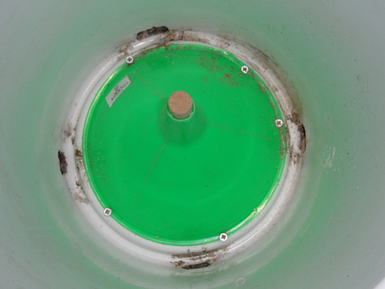 8a6d633d-98e1-4b9d-aab7-c9f45af54d2a.JPG