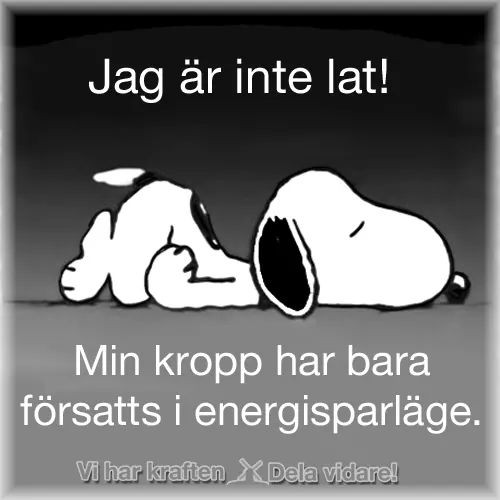 8b043c6e-7ffd-440b-a002-e5c198d49ed9.jpg