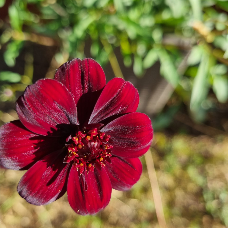 8e21580a-af76-4ec8-b663-07fe7775ba36.jpg