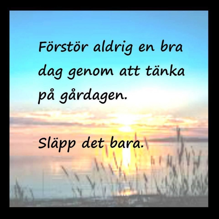 8ed70024-bc54-4545-9fc6-80872722f405.jpeg