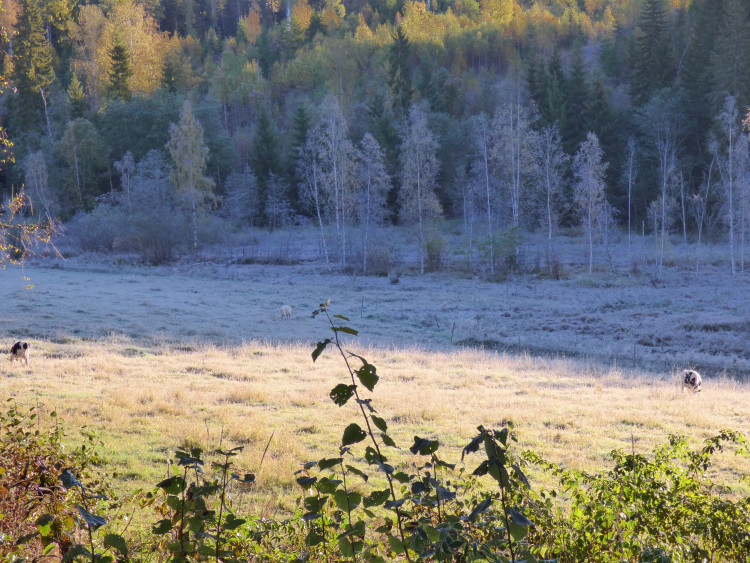 8f056fc0-7992-418a-9401-bc3135216a97.JPG