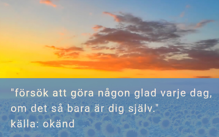 90d2a5c9-7899-4cc4-8529-768b97fd73d9.jpg