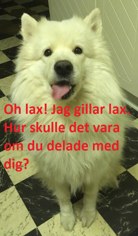9748e209-3fdd-4533-9696-a8d83572d7c9.png