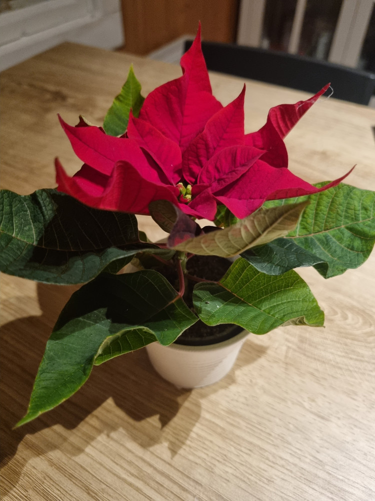 9daffb7e-6522-4ac7-8dcb-2cc2e7b21bc1.jpg