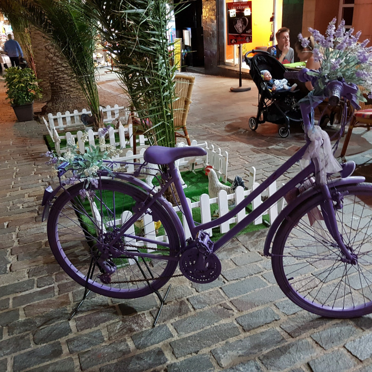 b44082ad-88fe-455b-979f-0f3277f968a0.jpg