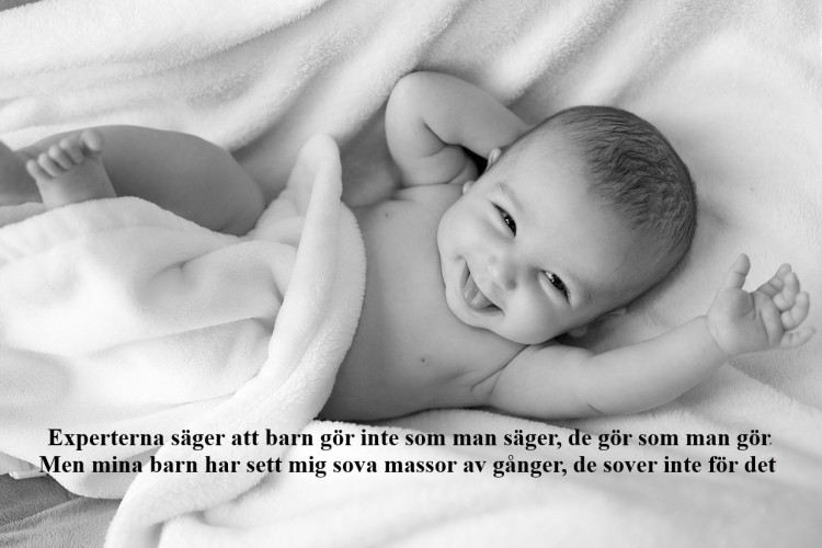 b5621cb1-569b-4eb8-8d1f-c6ad71fed5fa.jpg