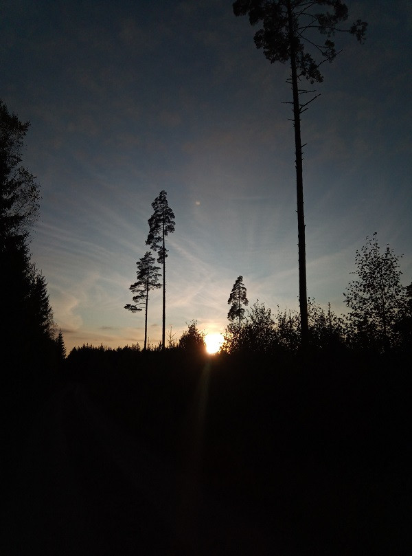 b7b9cb50-acbd-4c13-9241-f5565070028e.jpg