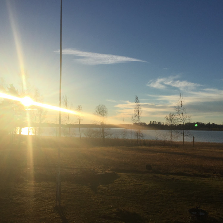 c39f2a7d-338f-48df-8eee-9469239dabd2.jpg