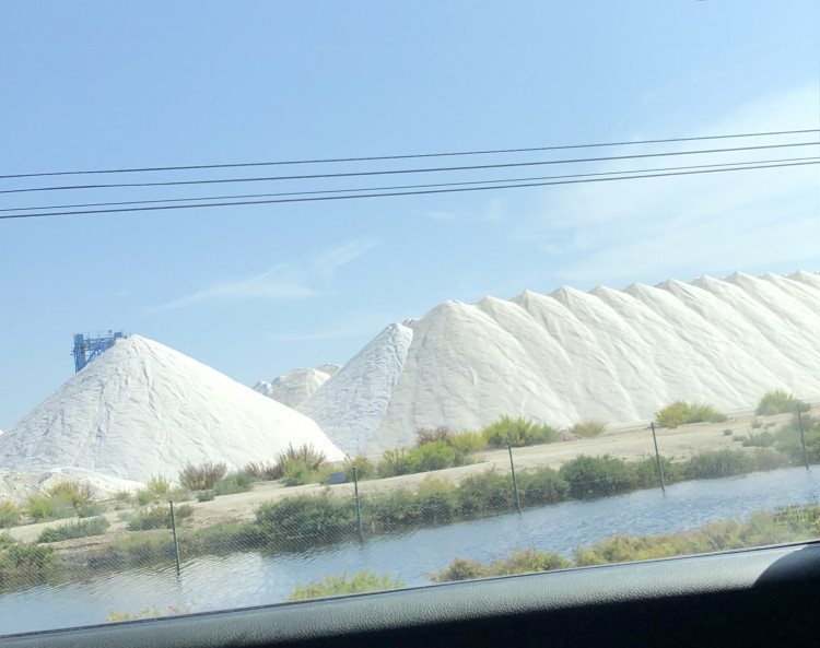 d1e3d702-e1e5-4e59-873b-0c258c6ad7f2.jpeg