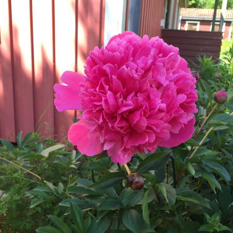 db17fbcb-4782-493f-9f1c-88e3c05b11c8.jpg