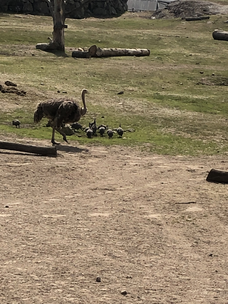 deb46447-e017-43a6-976e-b373b6445ae6.jpeg