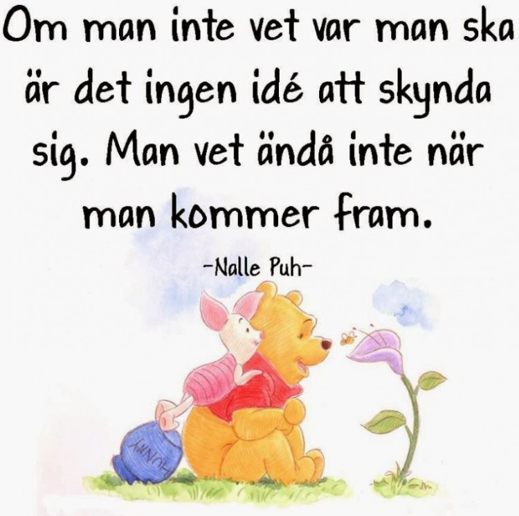 df0b20c7-bdc1-4f1b-97e1-c77bf1fff856.JPG