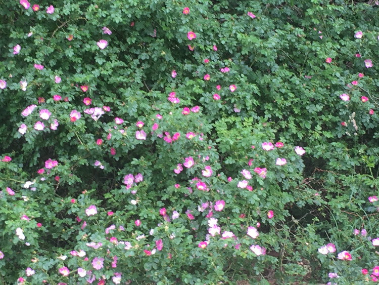 e6b85b1b-16d2-4121-bbde-1ad65e4acef0.jpeg