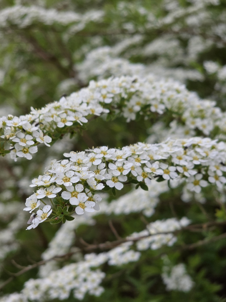 e830bd08-3c71-46e6-ae7e-1ace51d11ca6.jpg