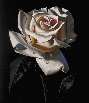 f1af4d10-c6cc-45f2-8c91-142e7e3dfc1b.png