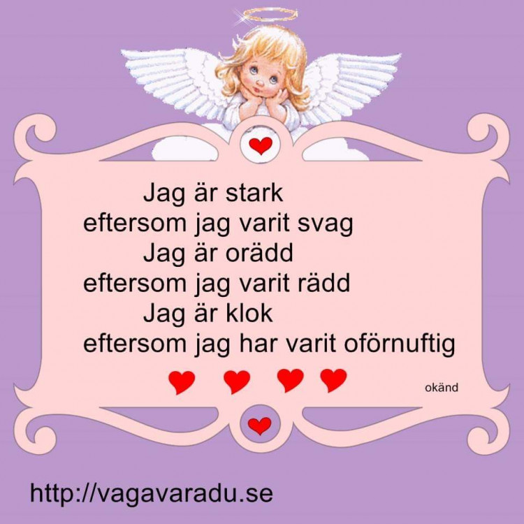 fe0ff6cb-796a-4a4f-afb5-b548e0be50d5.jpeg