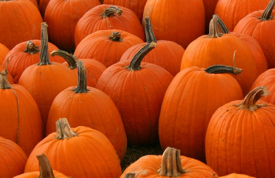 Pumpa - Råvaran med många ansikten