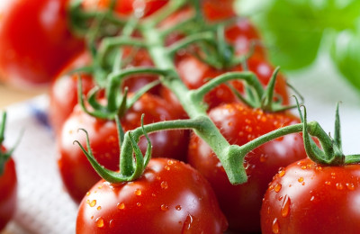 Tack för tomaten
